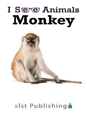 cover image of Monkey